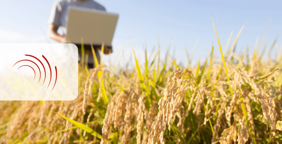 Uma pessoa está em um campo de plantações maduras, segurando um laptop, simbolizando a Reforma Tributária no Agronegócio. O primeiro plano revela vistas de perto de plantas douradas. Um logotipo vermelho com linhas curvas aparece à esquerda, sugerindo integração perfeita entre agricultura e tecnologia.