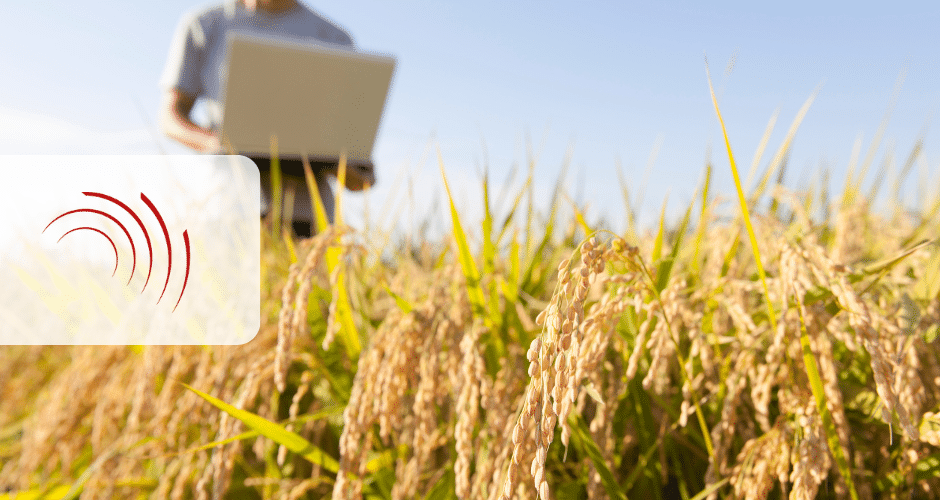 Uma pessoa está em um campo de plantações maduras, segurando um laptop, simbolizando a Reforma Tributária no Agronegócio. O primeiro plano revela vistas de perto de plantas douradas. Um logotipo vermelho com linhas curvas aparece à esquerda, sugerindo integração perfeita entre agricultura e tecnologia.